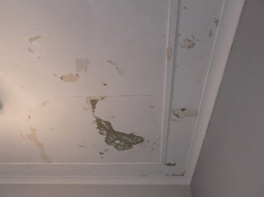 Plaster Ceiling Repairs Travancore1