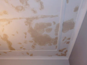 Plaster Ceiling Repairs Travancore2 Brushman Painting